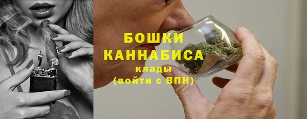 прущие грибы Балабаново
