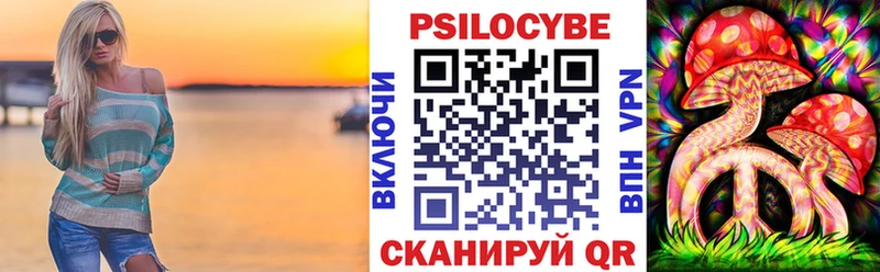 Галлюциногенные грибы Psilocybine cubensis  Купить  Новоржев 